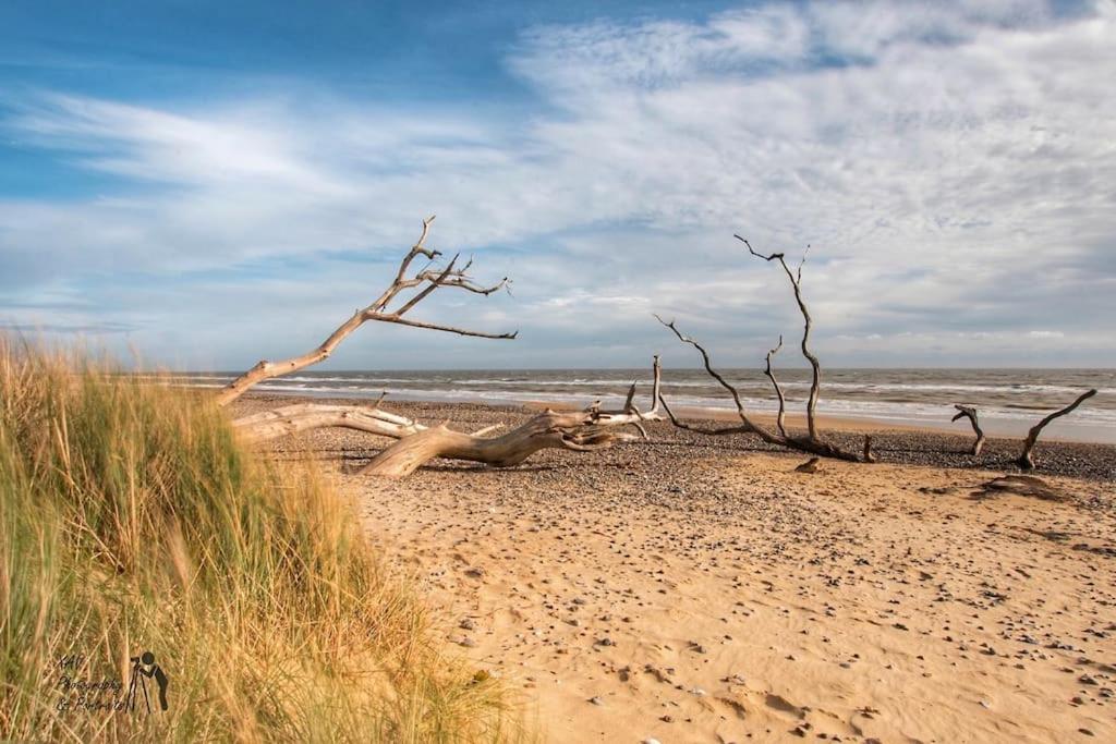 Covehithe House-Coastal Luxury- Sleeps 12-With Huge Swimspa! Wrentham Eksteriør bilde